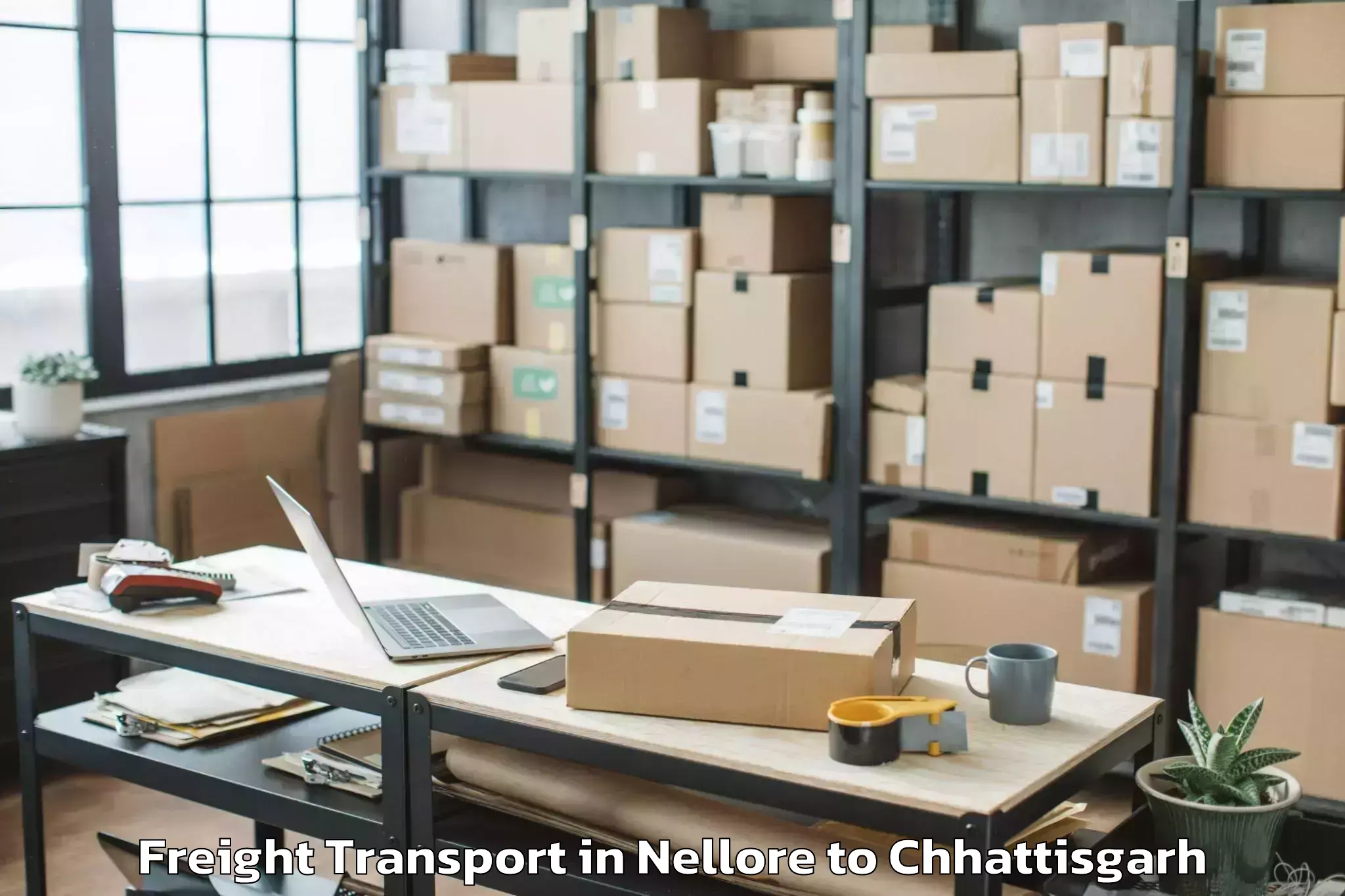 Hassle-Free Nellore to Gharghoda Freight Transport